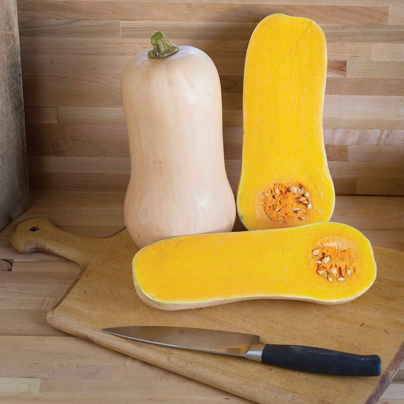 2025 Pumpkin Patch Tickets