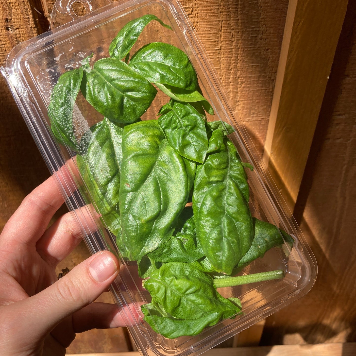 Herbs