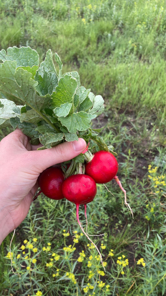 Red, White, and Blue Salad