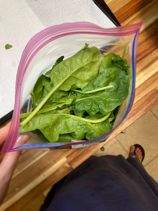 Buy Now, Eat Later: Freezing Your Spinach for Smoothies, Soups & Sauces