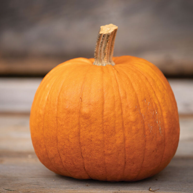 2025 Pumpkin Patch Tickets