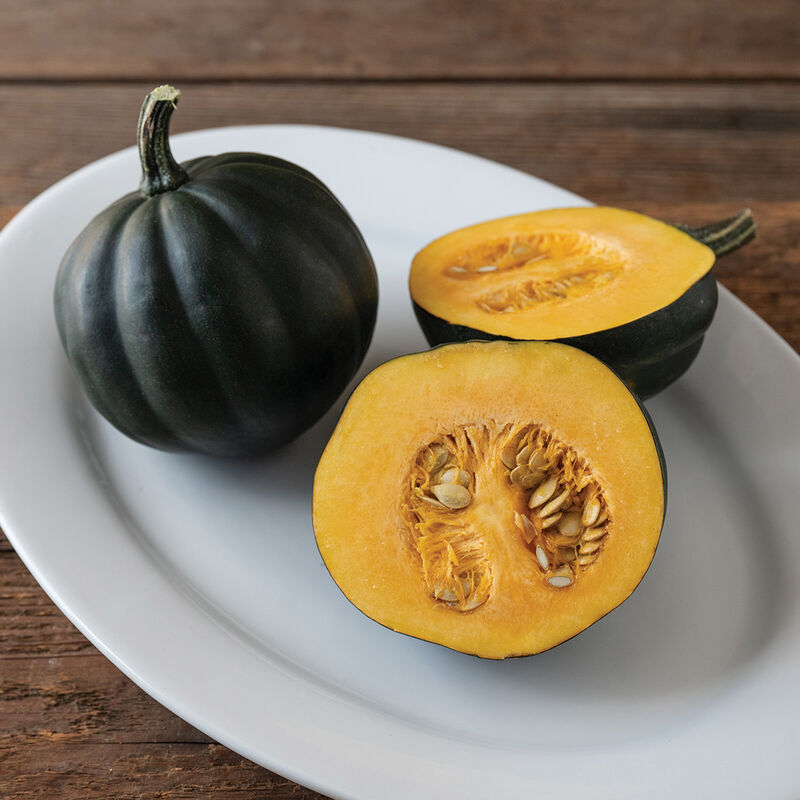 2025 Pumpkin Patch Tickets