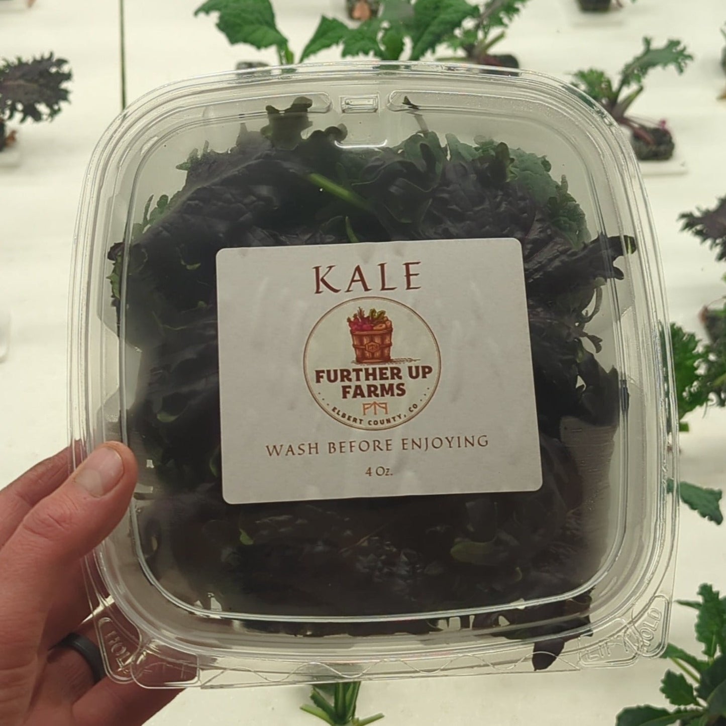 Kale