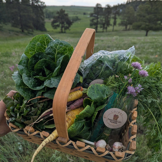 Buy a week of Veggies for a Family in Need