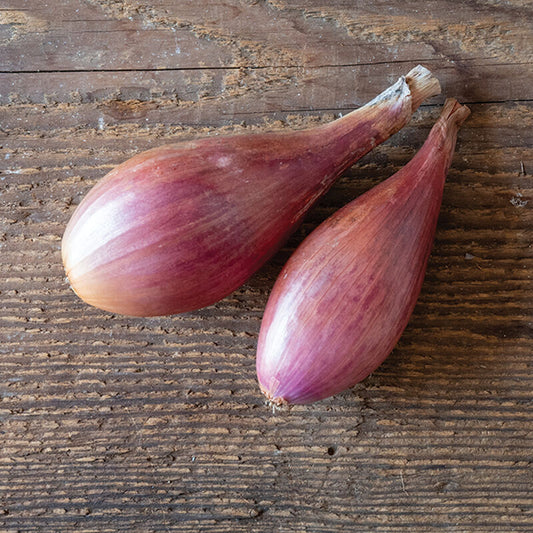 Shallots